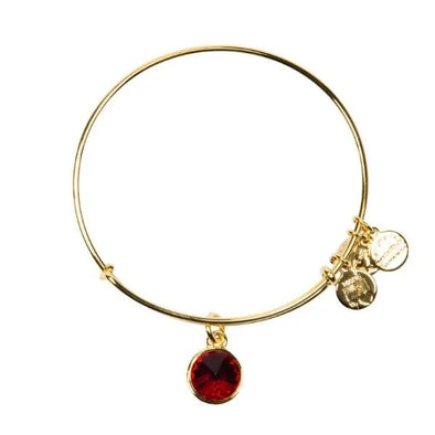 Alex And ani­vw449rg