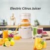 Automatic fresh juice fruit blender-slow and cold extraction-80W-Ideal for Orange, apple juice and more