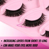 Cat Eye False Eyelashes 5 Pairs Pack for Doll Eye Makeup Charming Wispy Lightweight Faux Mink Lashes