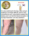 Lampshade Therapy Varicose Veins Effective Relief Of Dilated Vasculitis In The Legs Phlebitis Improved Blood Circulation Health